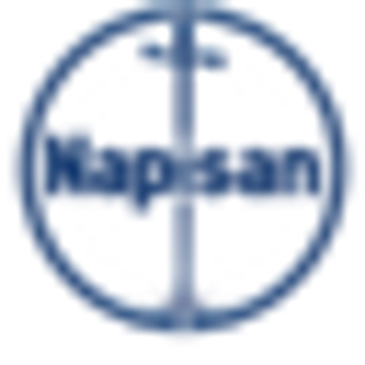 Regulation "Napisan rewards you 2024" logo